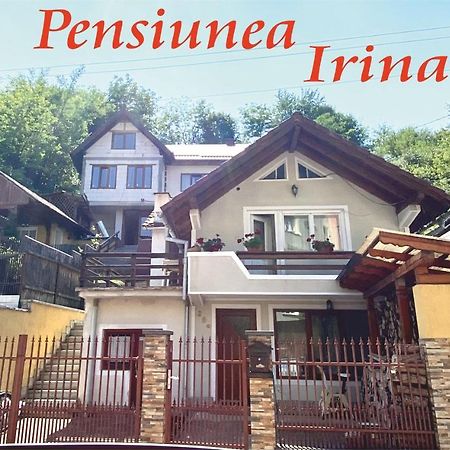 Pensiunea Irina Singeorz-Bai Exterior foto