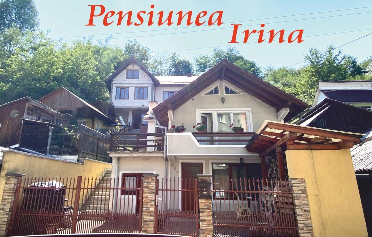 Pensiunea Irina Singeorz-Bai Exterior foto